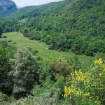 Il Finalese (Foto C. Lovisolo)